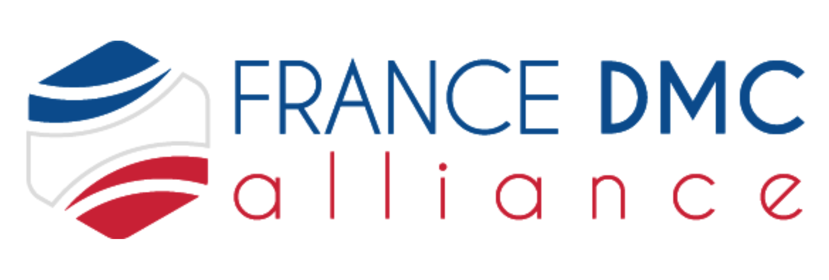 dmc alliance logo